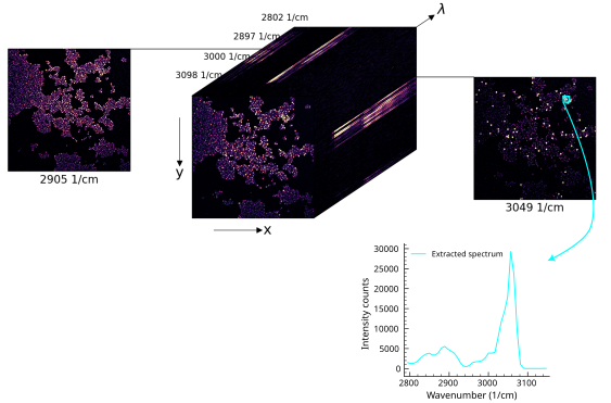 3D hyperspectral CARS microbead mixture bead data cube. Each channel is a grayscale image at one Raman shift.